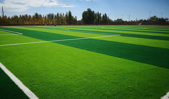 沈陽人造草坪的常見問題，如何選擇草高和密度？