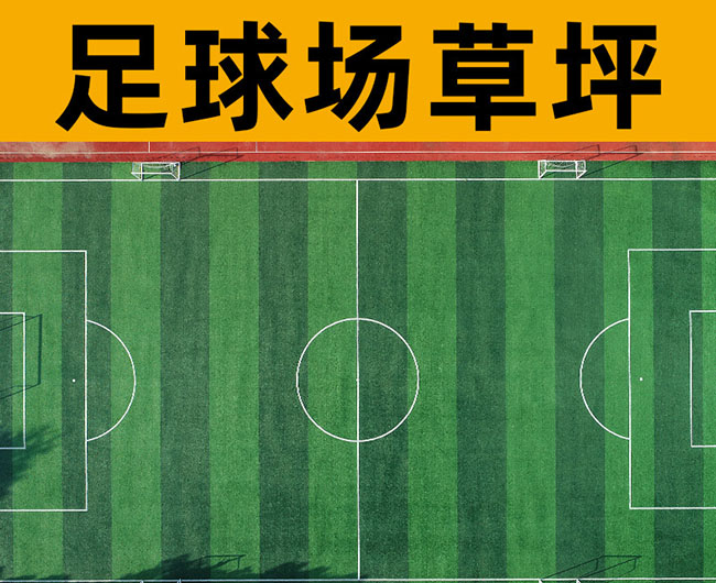 常見的沈陽人造草坪有哪幾種?你知道嗎