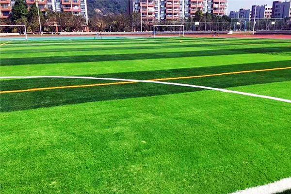 綠色未來,用心鋪就——沈陽人造草坪生產(chǎn)廠家參與全國低碳日